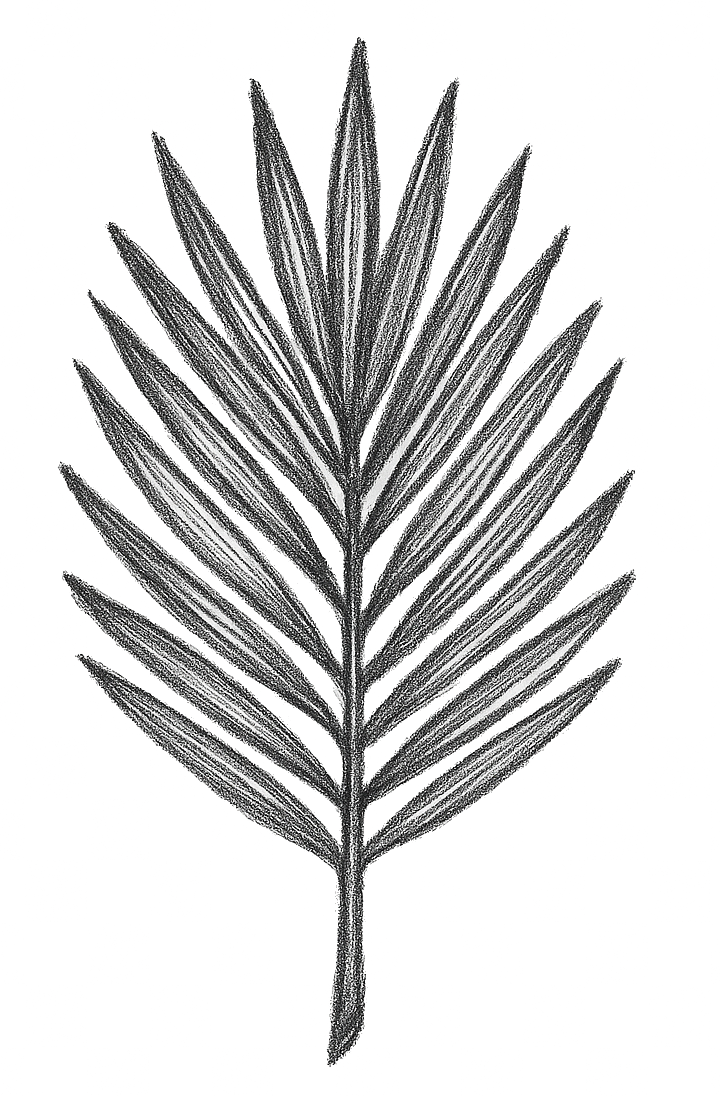 Ilustración de planta